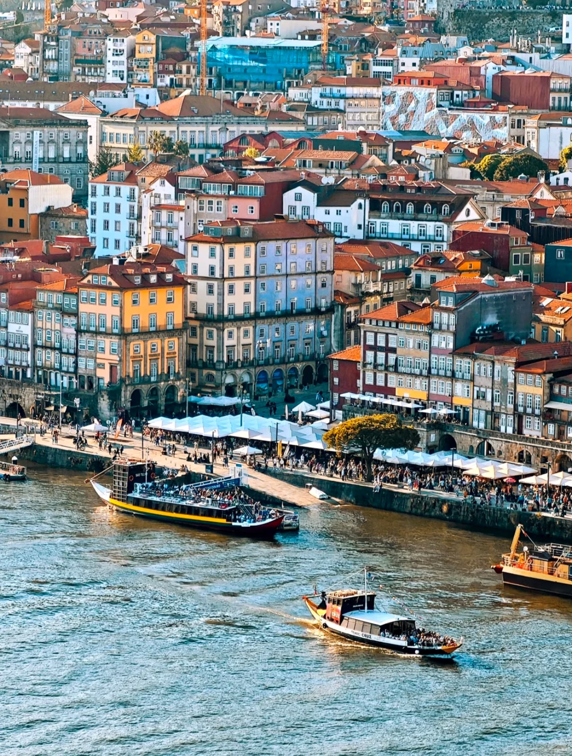 护照界的“六边形战士”！葡萄牙护照凭什么稳坐欧盟身份顶流？